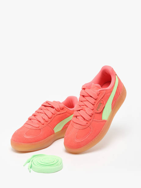 Sneakers Palermo Moda Xtra Gum In Leather Puma Multicolor accessoires 40032305 other view 3