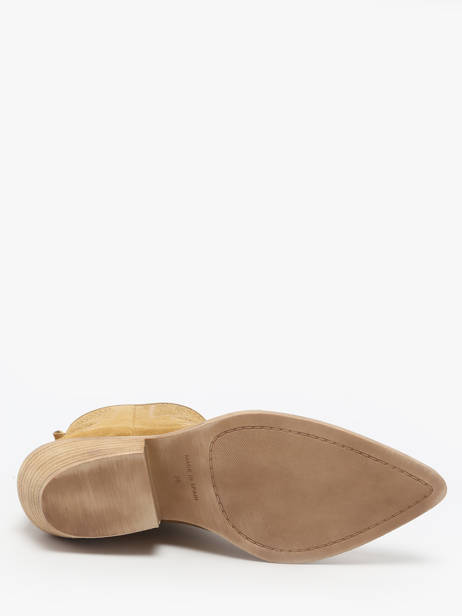 Santiags Holly En Cuir Alpe Marron accessoires 53561155 vue secondaire 5