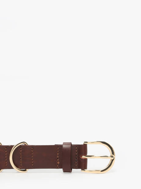 Belt Pieces Brown janni 17160106 other view 2