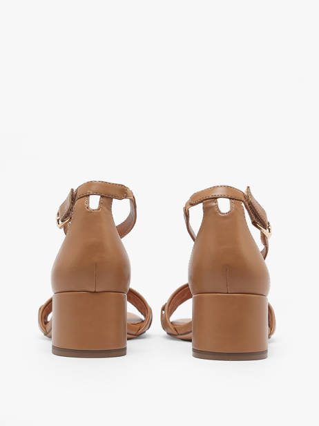 Sandales à Talon Tamaris Marron accessoires 20 vue secondaire 3
