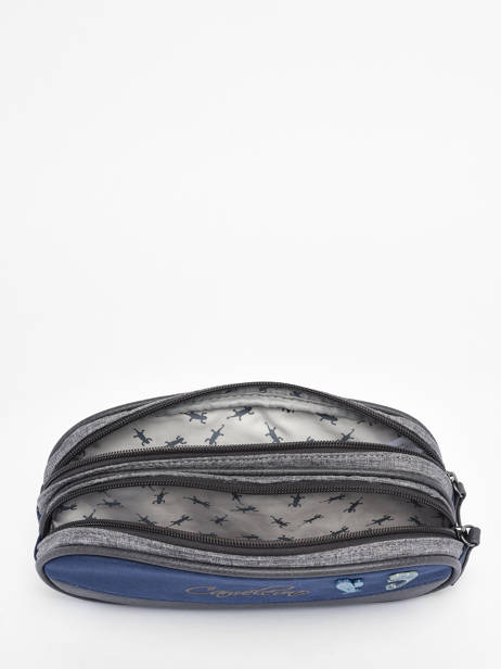 2-compartment  Pouch Cameleon Violet vintage pin's TROU other view 2