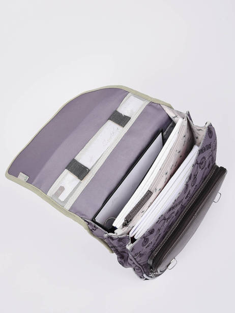 2-compartment Backpack Cameleon Gray vintage urban PBVBSD38 other view 4